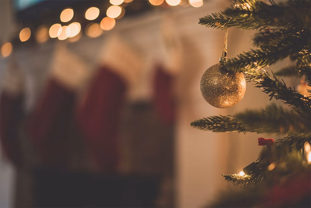 Christmas Festive Menu